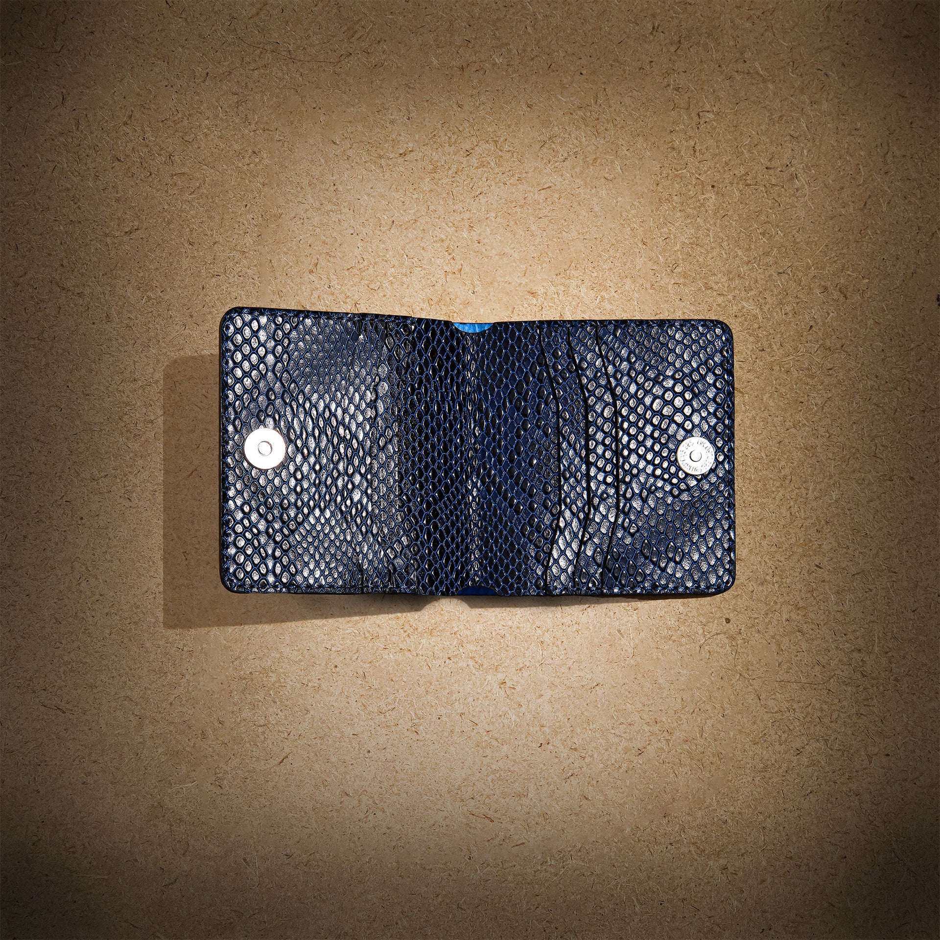 Blue Python wallet #0116